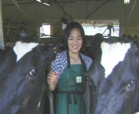 Japanese homestay with cows