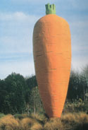 Huge carrot at Ohakune