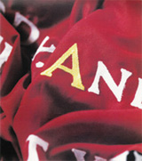 Close up on a Flag