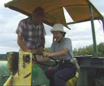 Japanese homestay drives a tractor